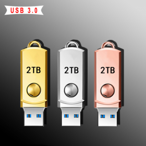 2TB 闪存记忆棒存储外部小工具 USB 2.0 金属高速闪存驱动器 2TB 笔式驱动器闪存记忆棒存储